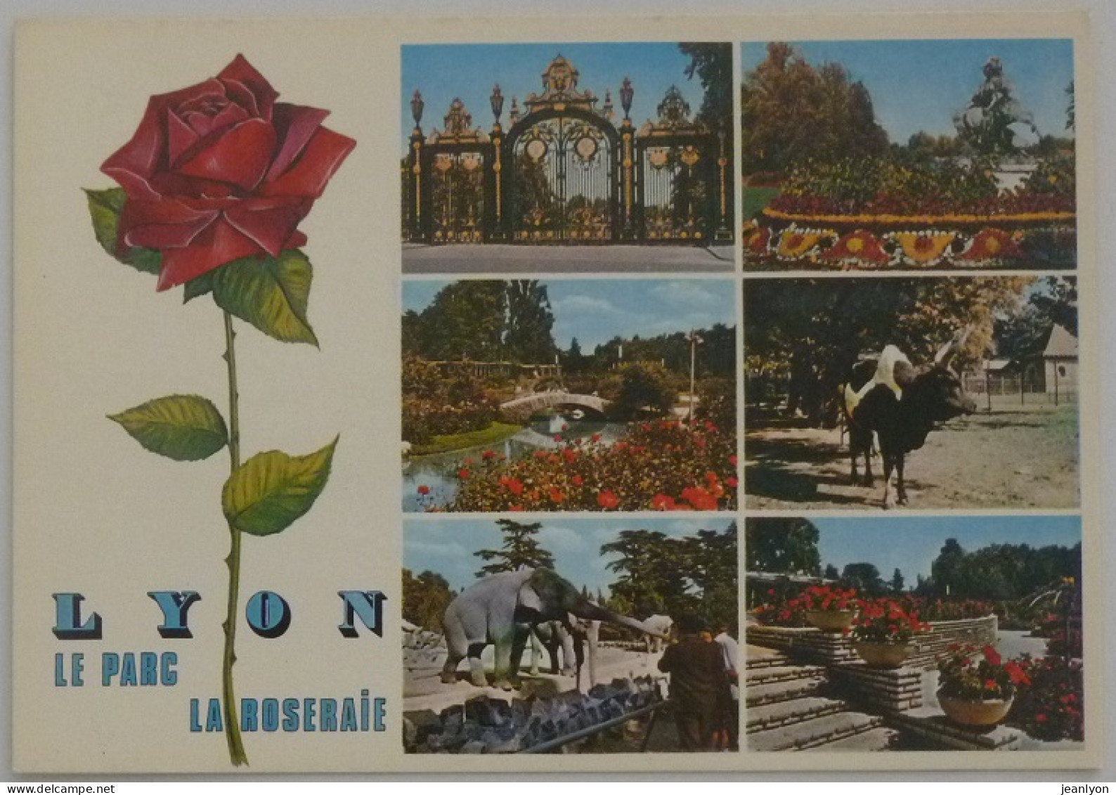 LYON (69/Rhône) - PARC TETE D'OR / Elephant - Zébu / ROSERAIE Avec Dessin Une Rose Rouge - Lyon 6