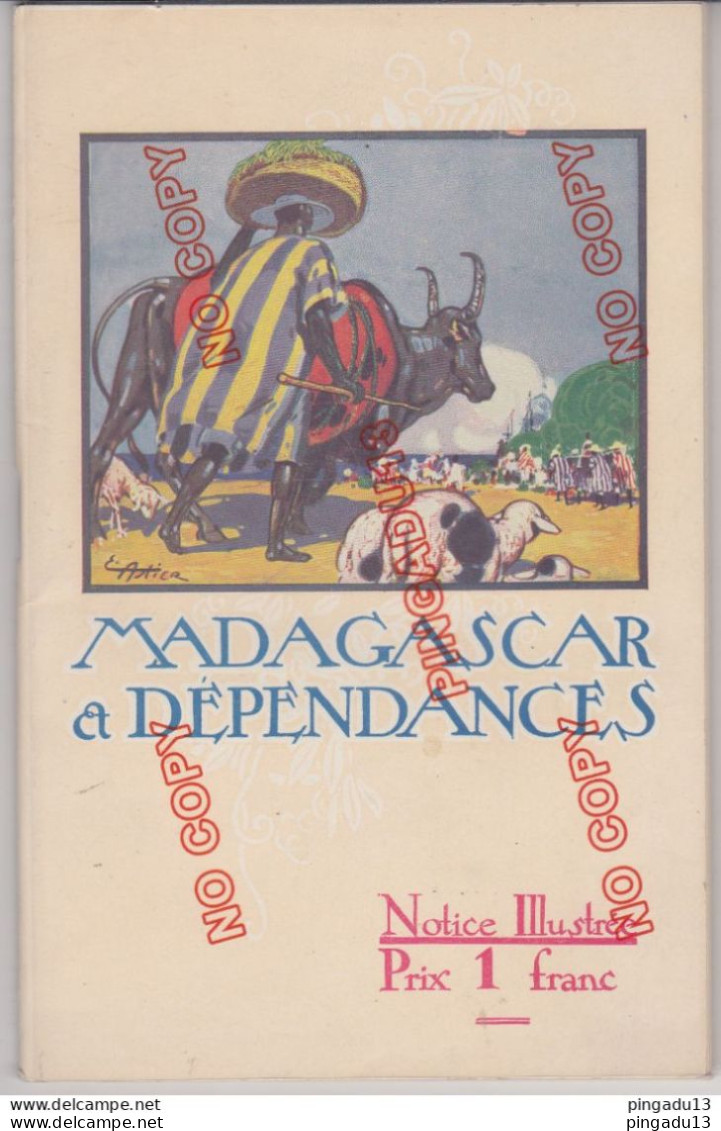 Fixe Madagascar Et Dépendances Années 20 Très Très Intéressant Une Mine De Renseignements - Ohne Zuordnung
