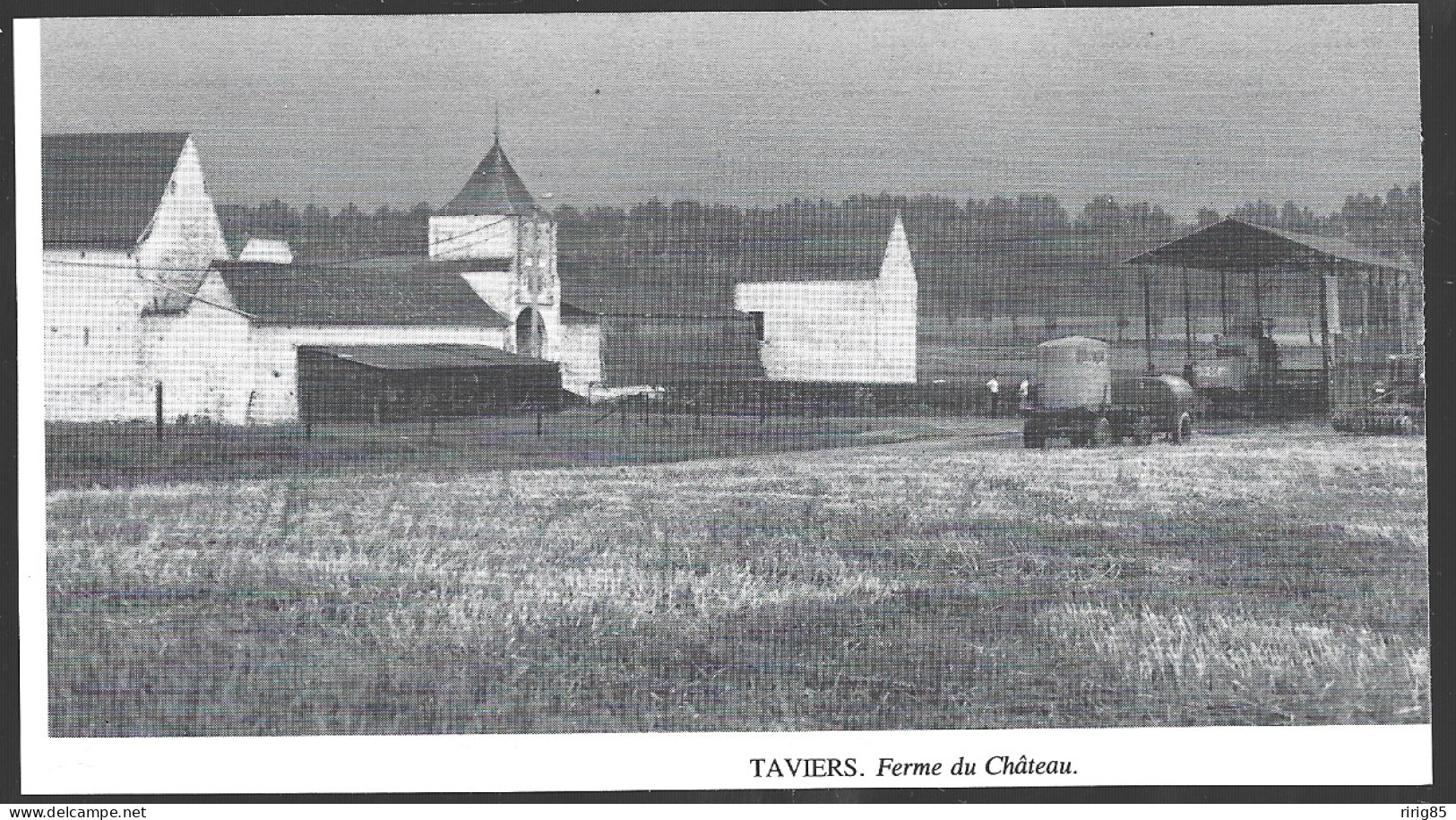 1980  --  BELGIQUE . TAVIERS FERME DU CHATEAU . 4A865 - Ohne Zuordnung