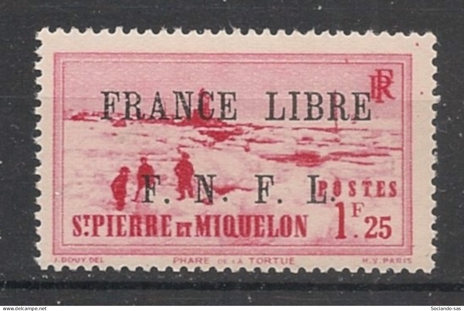 SPM - 1941-42 - N°YT. 264 - France Libre 1f25 Rose-rouge - Neuf Luxe ** / MNH / Postfrisch - Nuovi