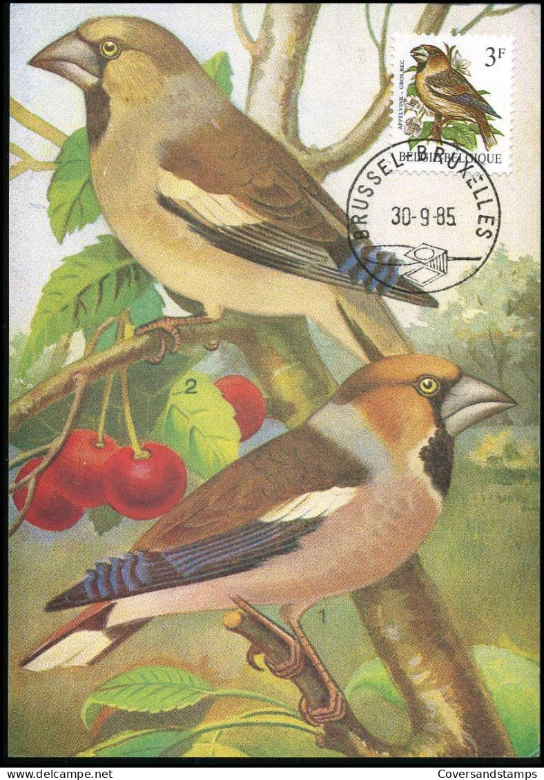 2189 - MK - Buzin : Appelvink  - 1981-1990