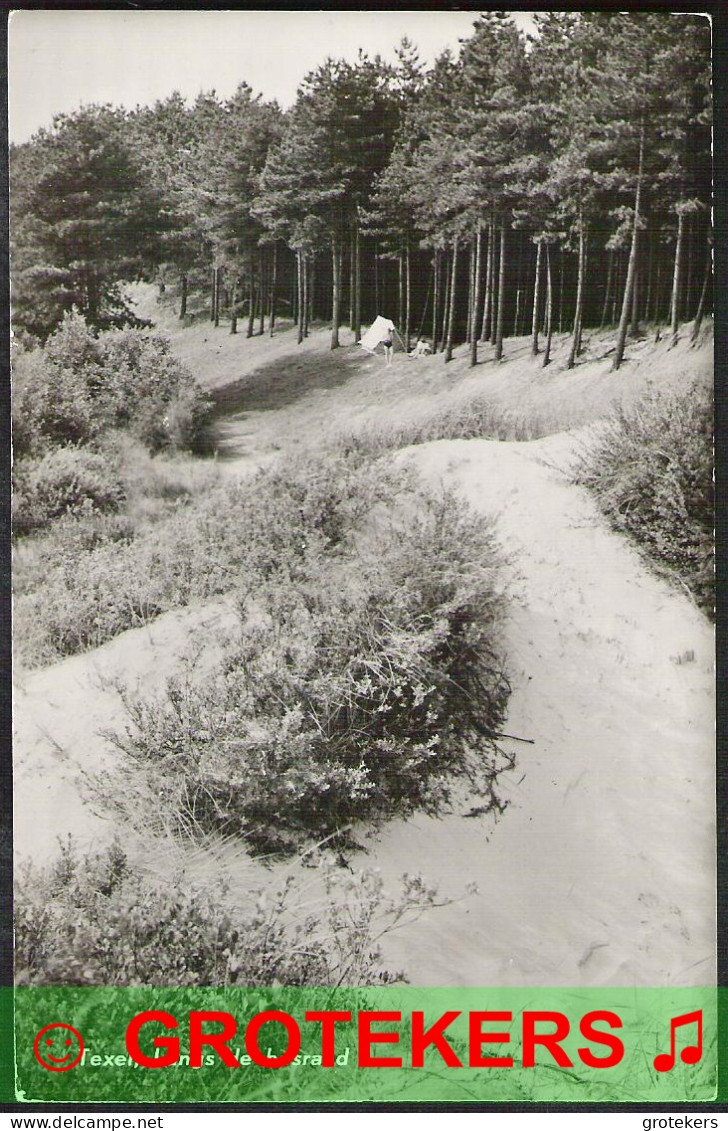 TEXEL Langs De Bosrand 1964 - Texel