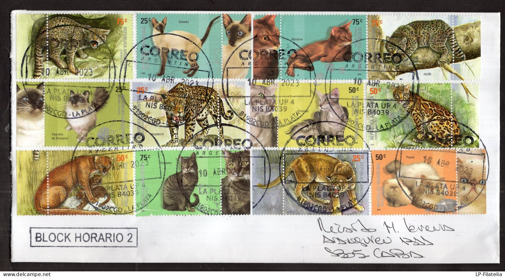 Argentina - 2023 - Cats - Felins - Modern Stamps - Diverse Stamps - Storia Postale