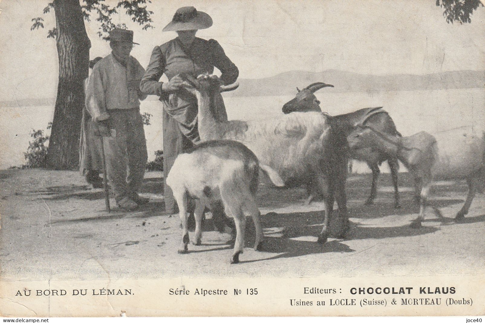 Au Bord Du Léman-Série Alpestre N°135- Chèvres - Au