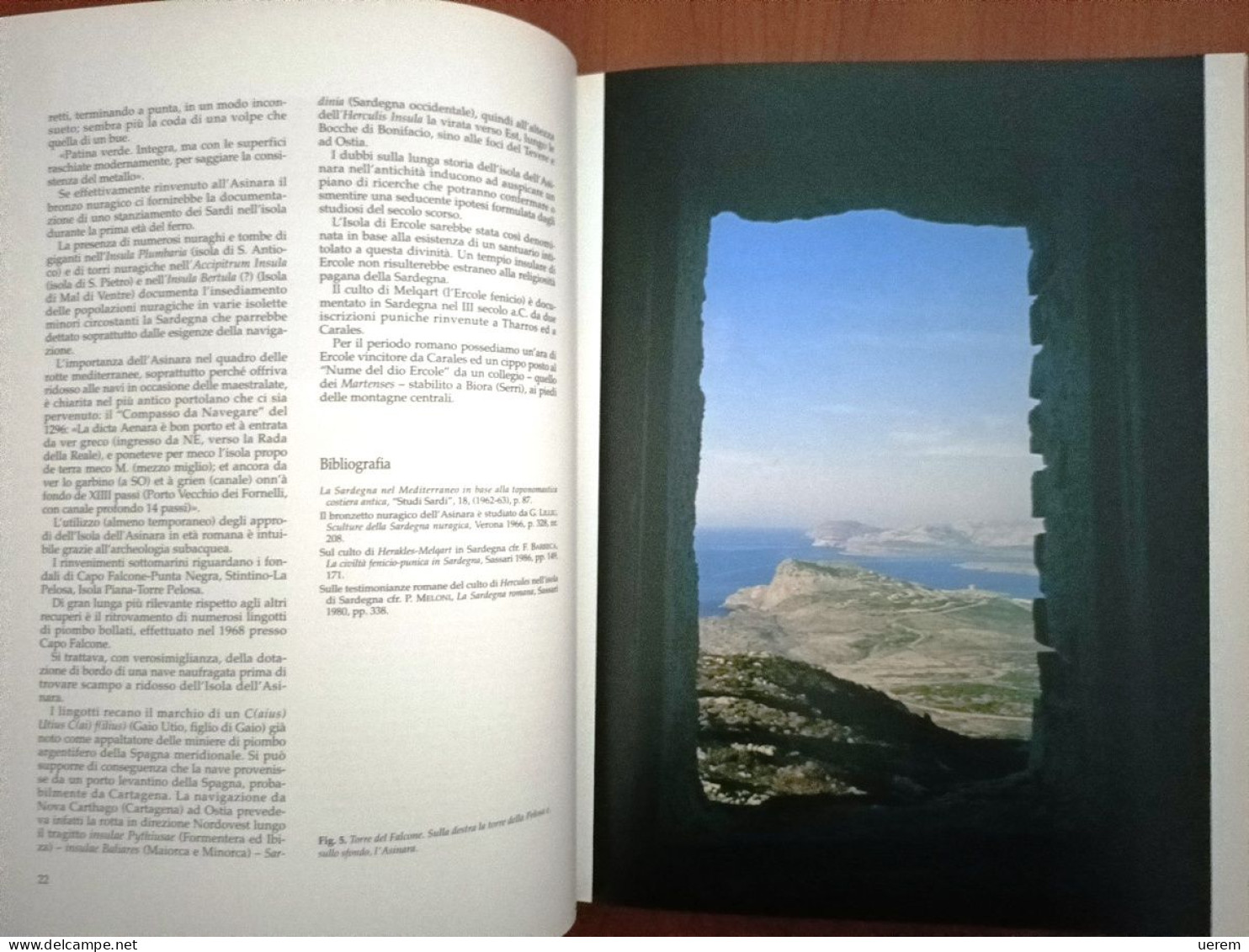 1993 Sardegna Asinara AA.VV. Asinara. Storia, Natura, Mare E Tutela Dell'ambiente Sassari, Carlo Delfino Editore 1993 - Alte Bücher