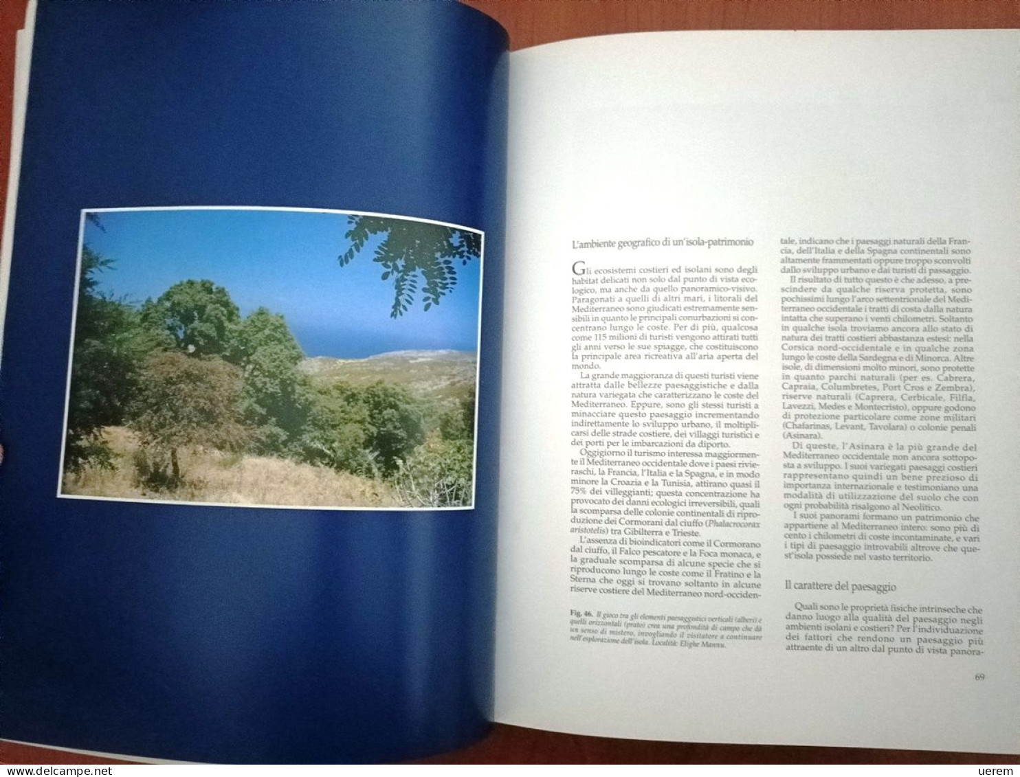 1993 Sardegna Asinara AA.VV. Asinara. Storia, Natura, Mare E Tutela Dell'ambiente Sassari, Carlo Delfino Editore 1993 - Alte Bücher