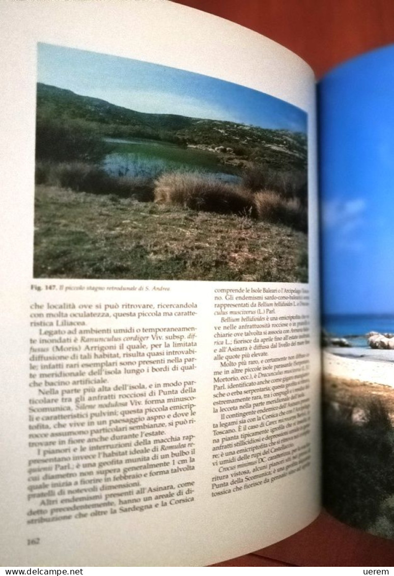 1993 Sardegna Asinara AA.VV. Asinara. Storia, natura, mare e tutela dell'ambiente Sassari, Carlo Delfino Editore 1993