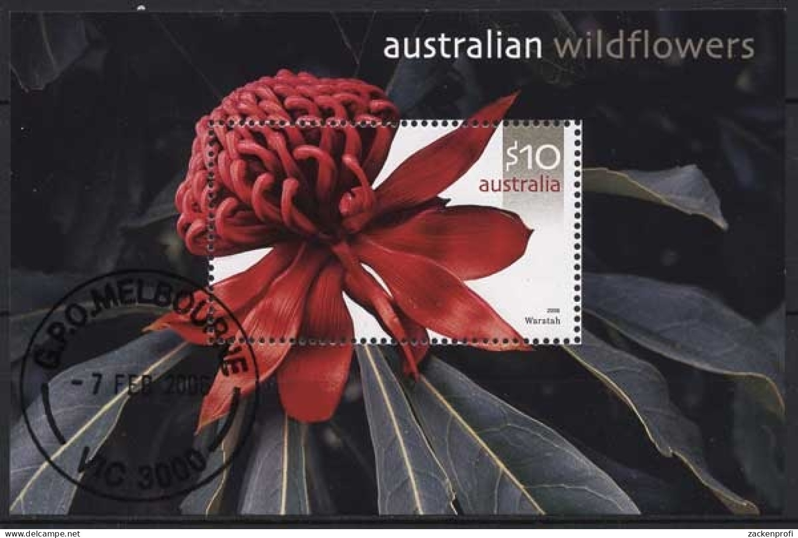 Australien 2006 Wildblumen Waratah Block 58 Gestempelt (C24227) - Blokken & Velletjes