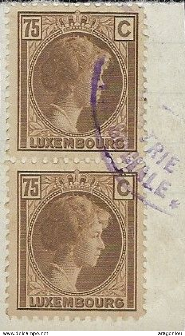 Luxembourg - Luxemburg - Timbres -    Charlotte  1927   Paire  Cachet Bourse Du Travail  Violet  Raree     ° - 1926-39 Charlotte De Profil à Droite