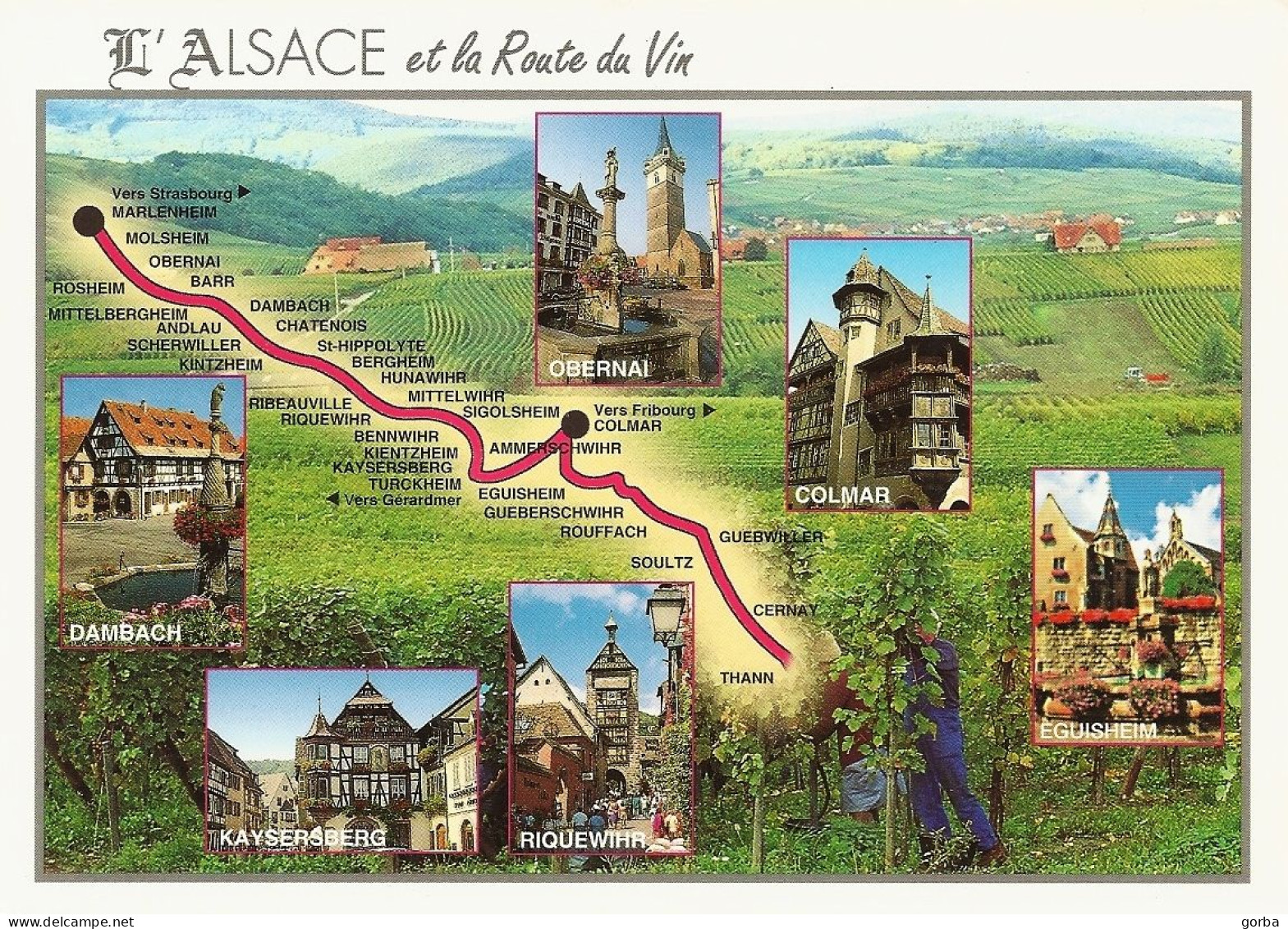 *CPM - FRANCE - ALSACE -  Route Des Vins - L'Alsace Heureuse - Alsace