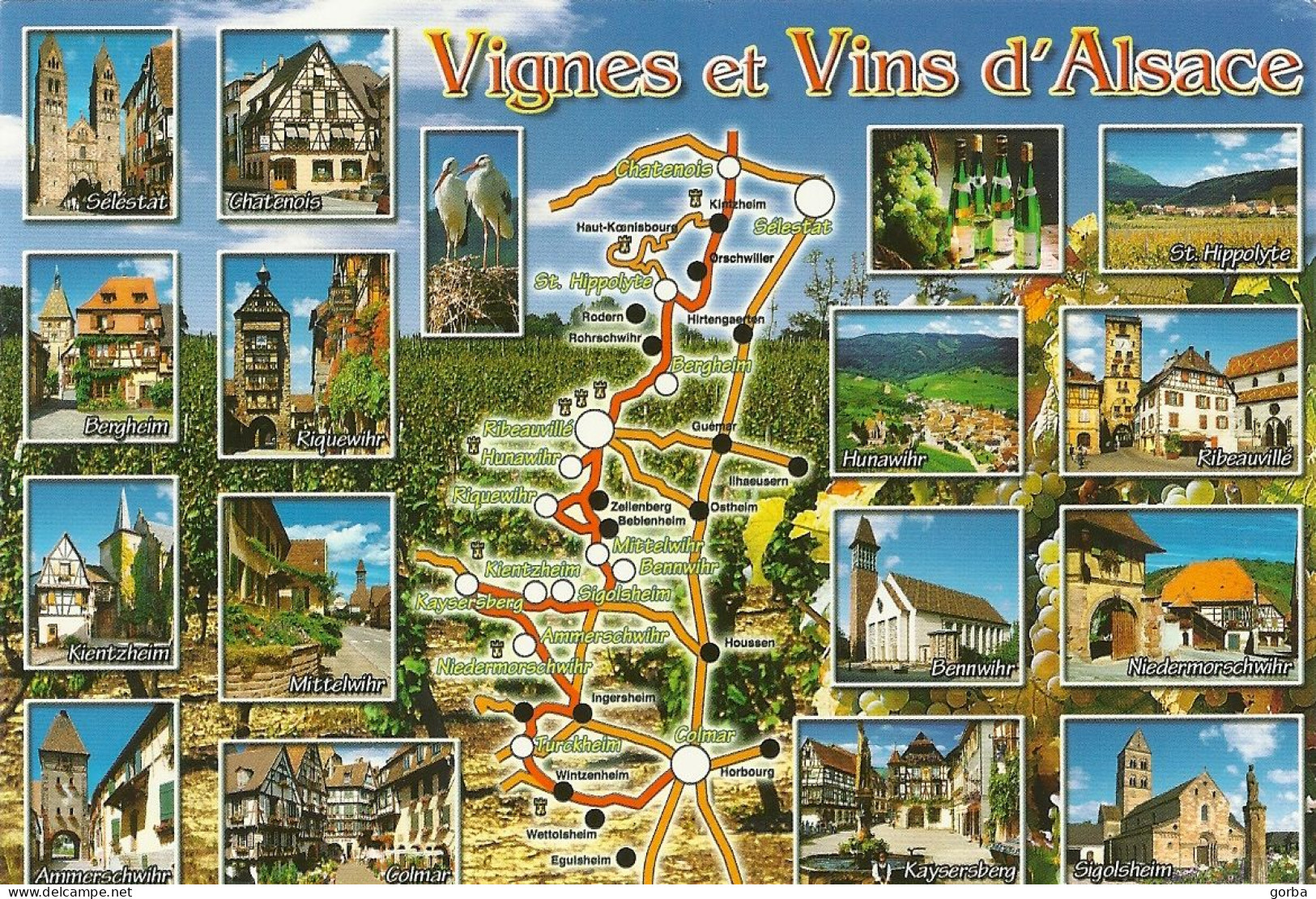 *CPM - FRANCE - ALSACE - Vignes Et Vins - Route Des Vins De Chatenois à Colmar - Alsace