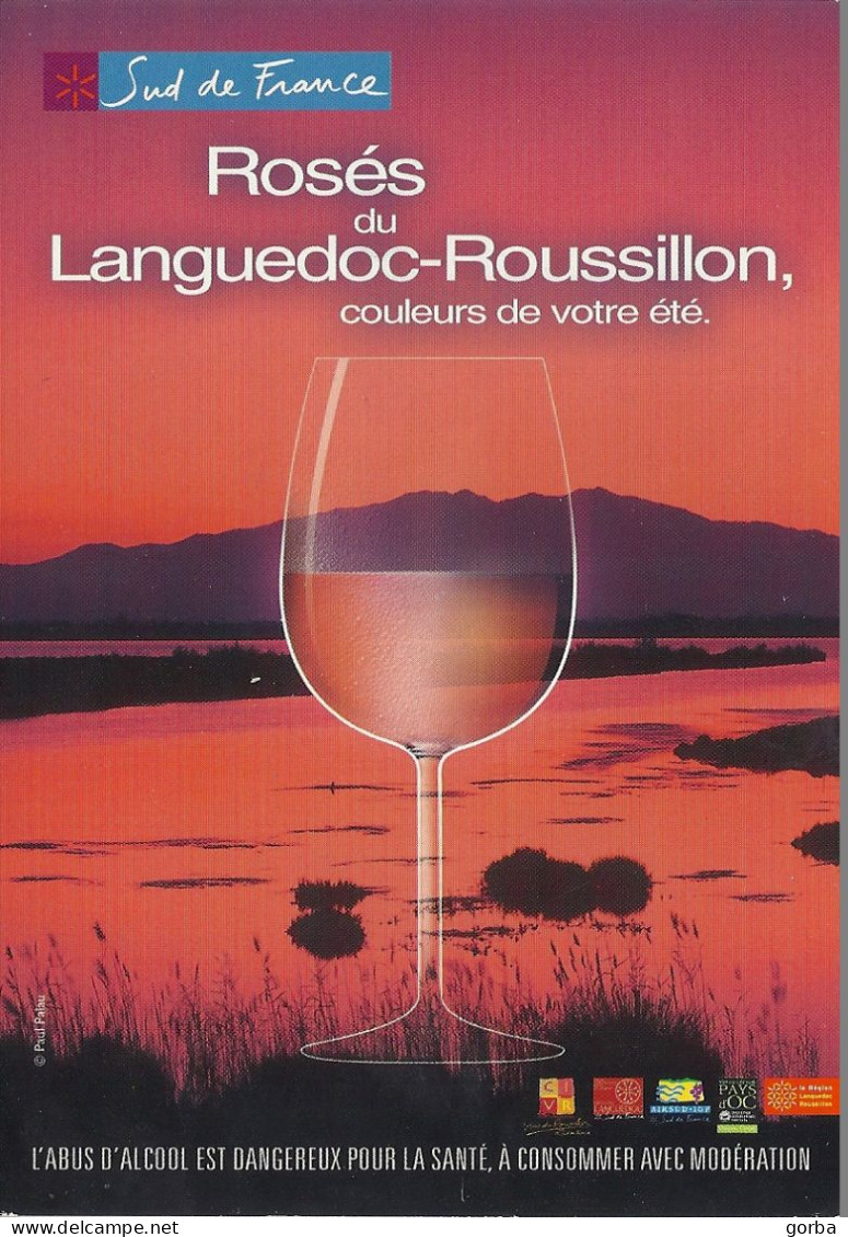 *CPM - FRANCE - LANGUEDOC ROUSSILLON - Les Vins Rosés Sud De France - Languedoc-Roussillon