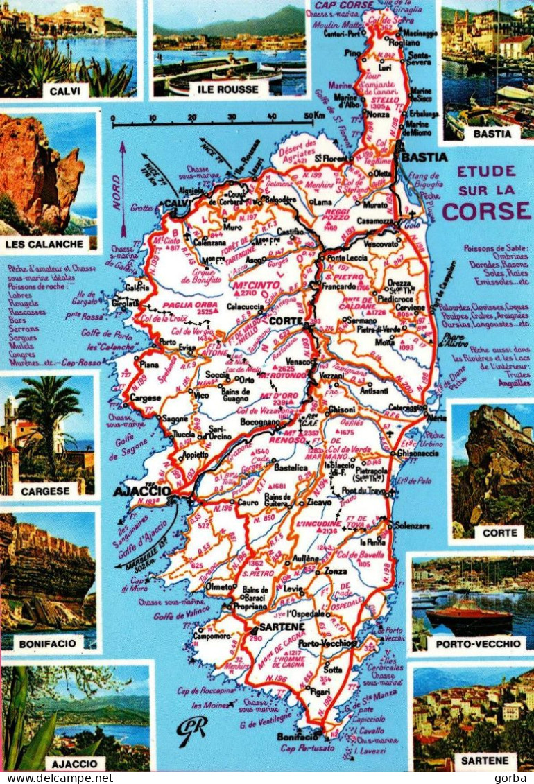 *CPM - FRANCE - LA CORSE - Carte De La Région - Multivue - Corse