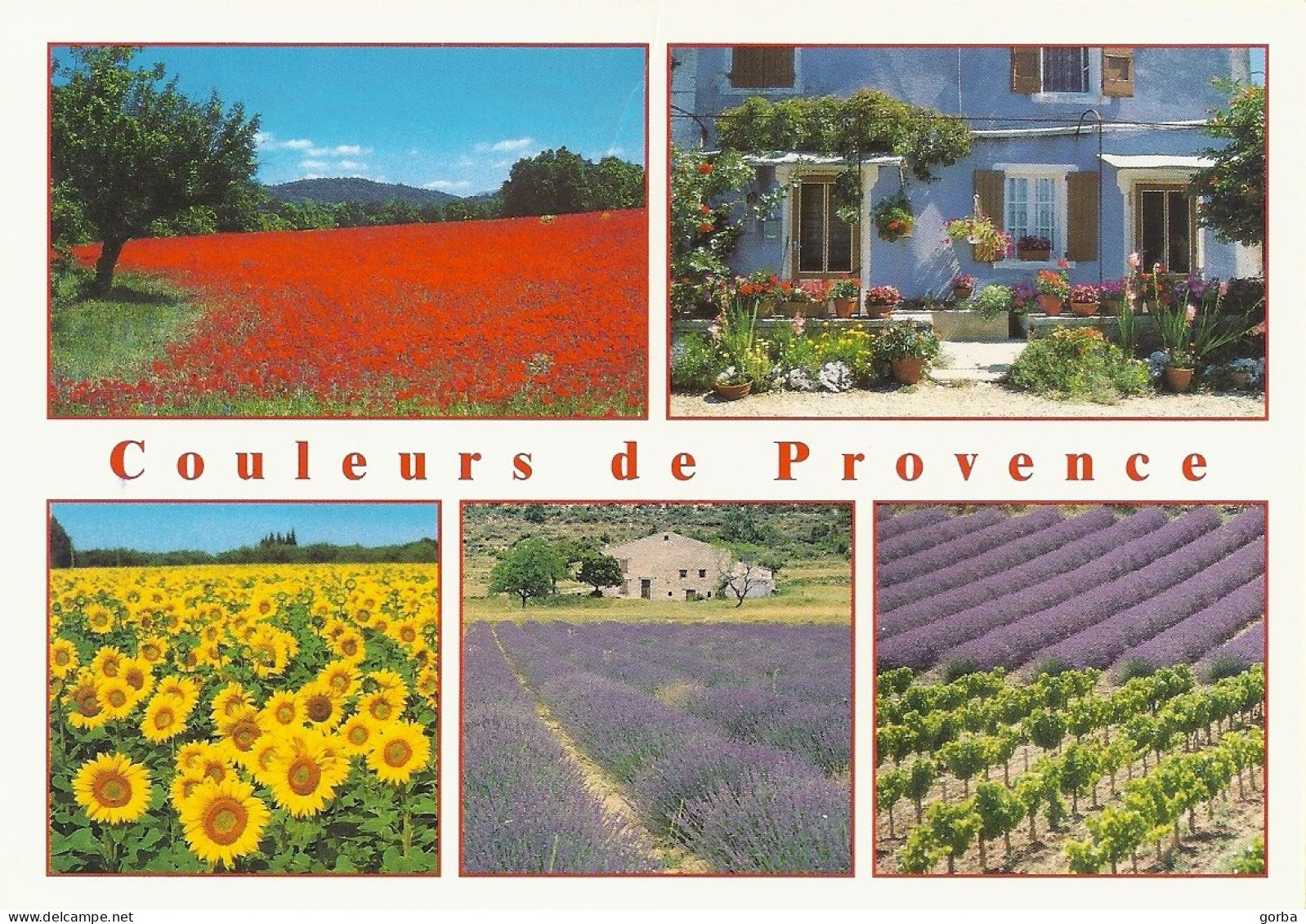 *CPM - FRANCE - PACA - Couleur De PROVENCE - Multivues - Provence-Alpes-Côte D'Azur