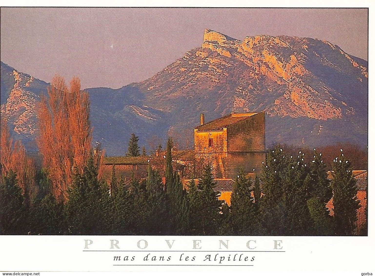 *CPM - FRANCE - PACA - Mas Dans Les Alpilles - Provence-Alpes-Côte D'Azur