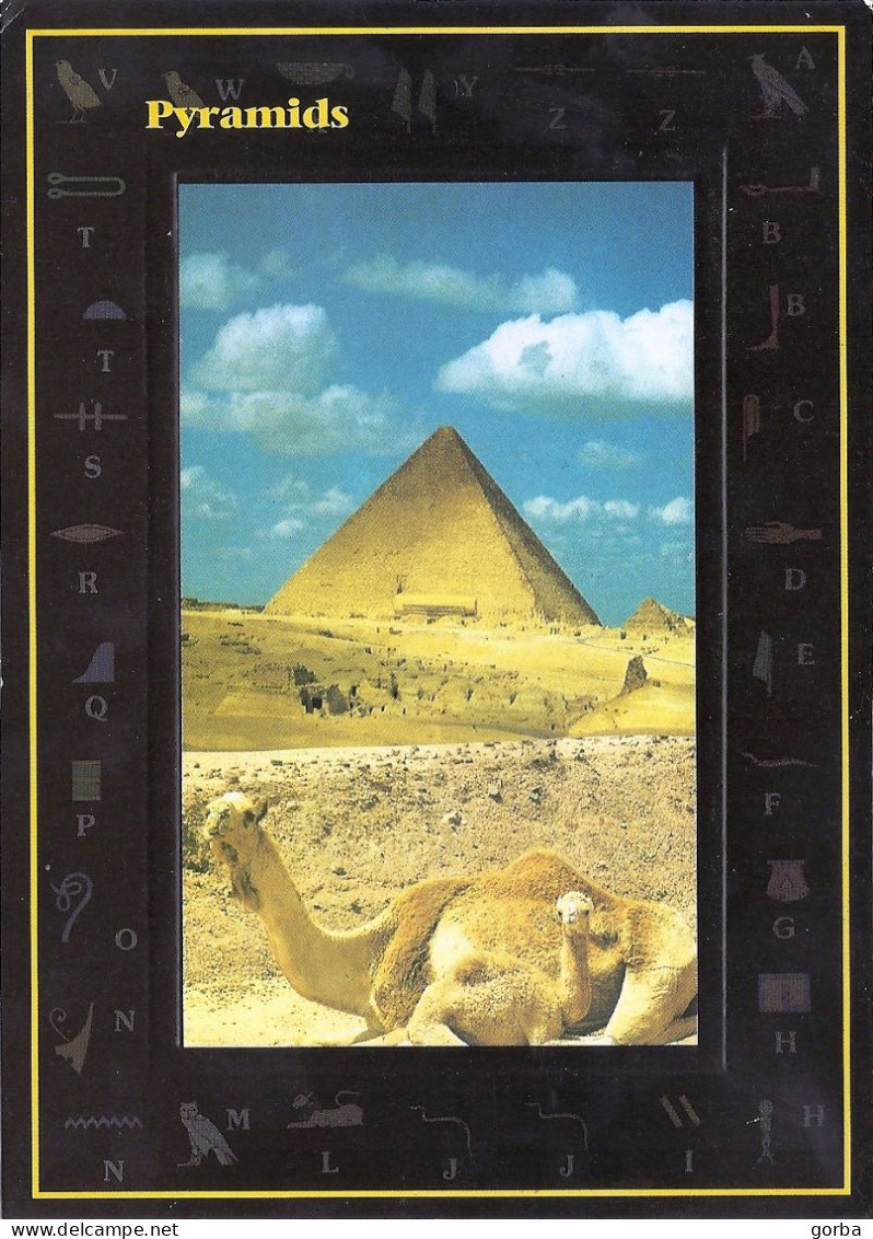 *CPM - EGYPTE - Pyramides - Chameau - Pyramides