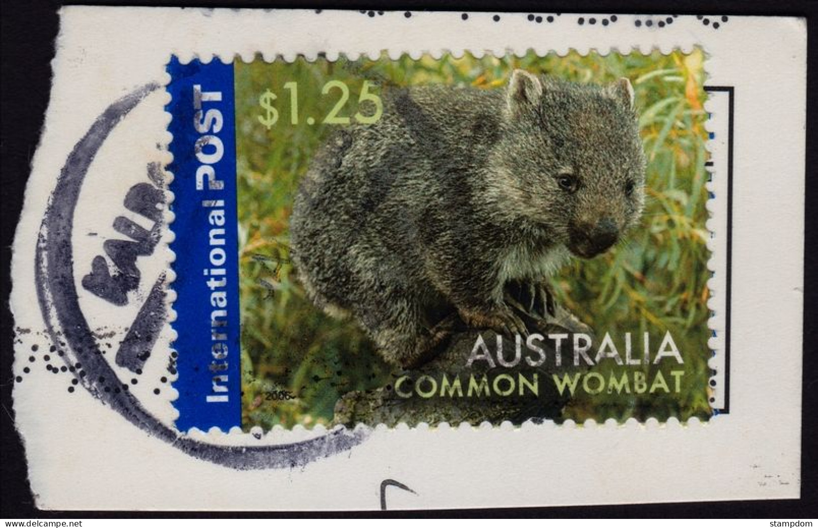 AUSTRALIA  2006 Animals Int'l Post $1.25 Common Wombat Sc#2497 USED On Paper @O068 - Oblitérés