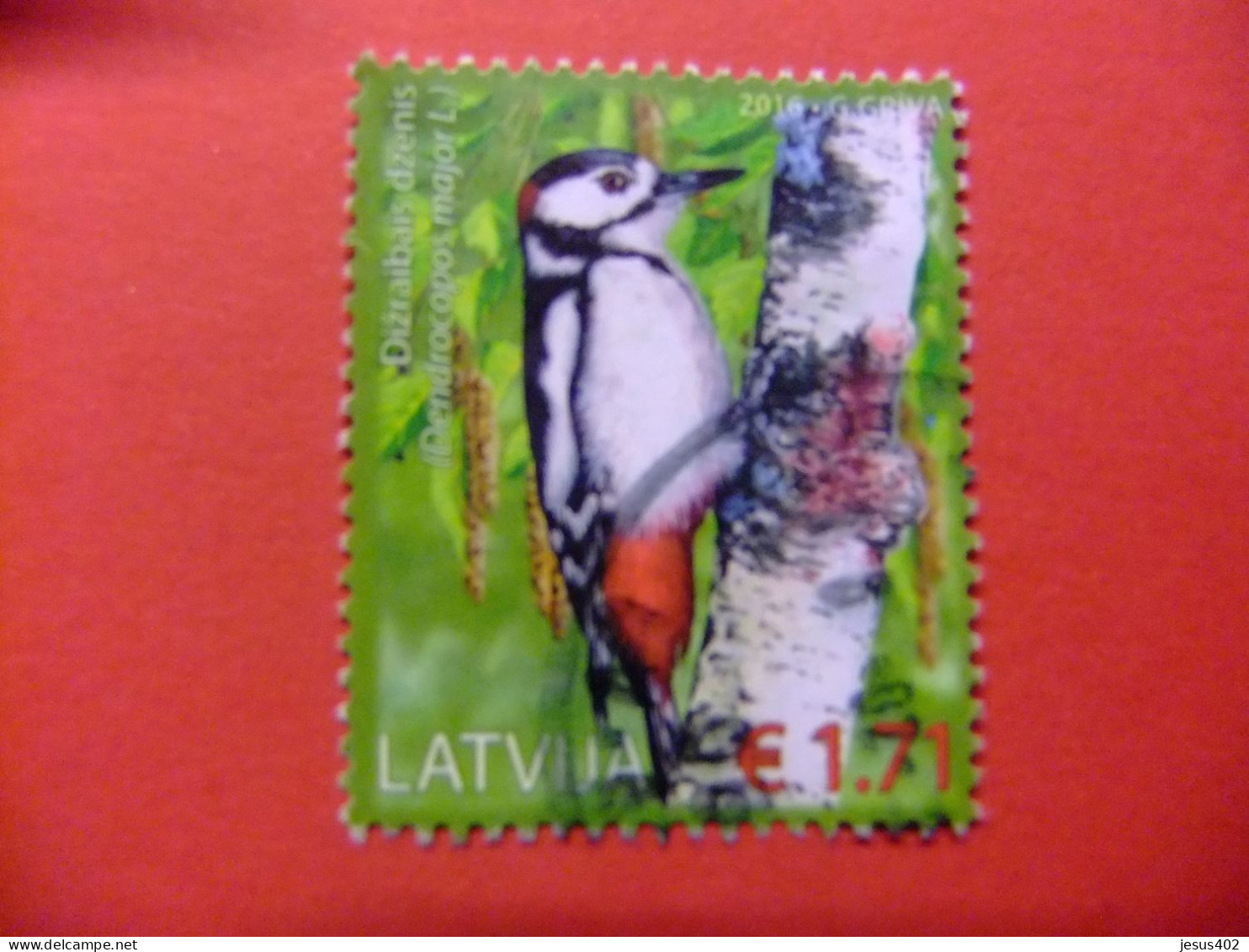 111 LETONIA LETTONIE LATVIJA 2016 / FAUNA PAJARO CARPINTERO / YVERT FU - Climbing Birds