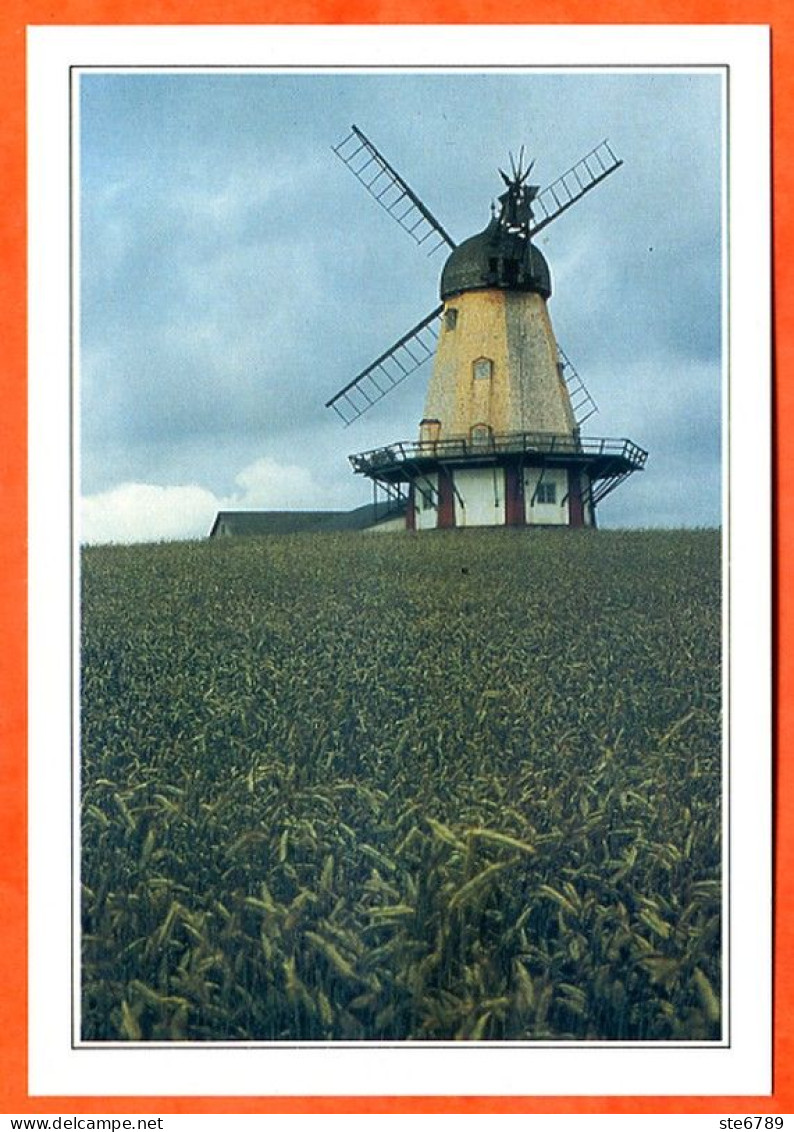 DANEMARK  DENMARK  Moulin Sur L'ile De Bogo - Géographie