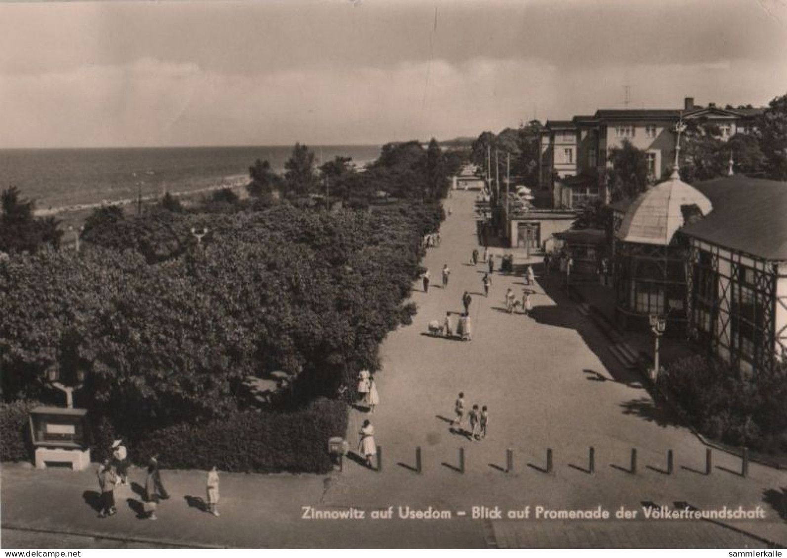 80805 - Zinnowitz - Blick Auf Promenade Der Völkerfreundschaft - 1969 - Zinnowitz