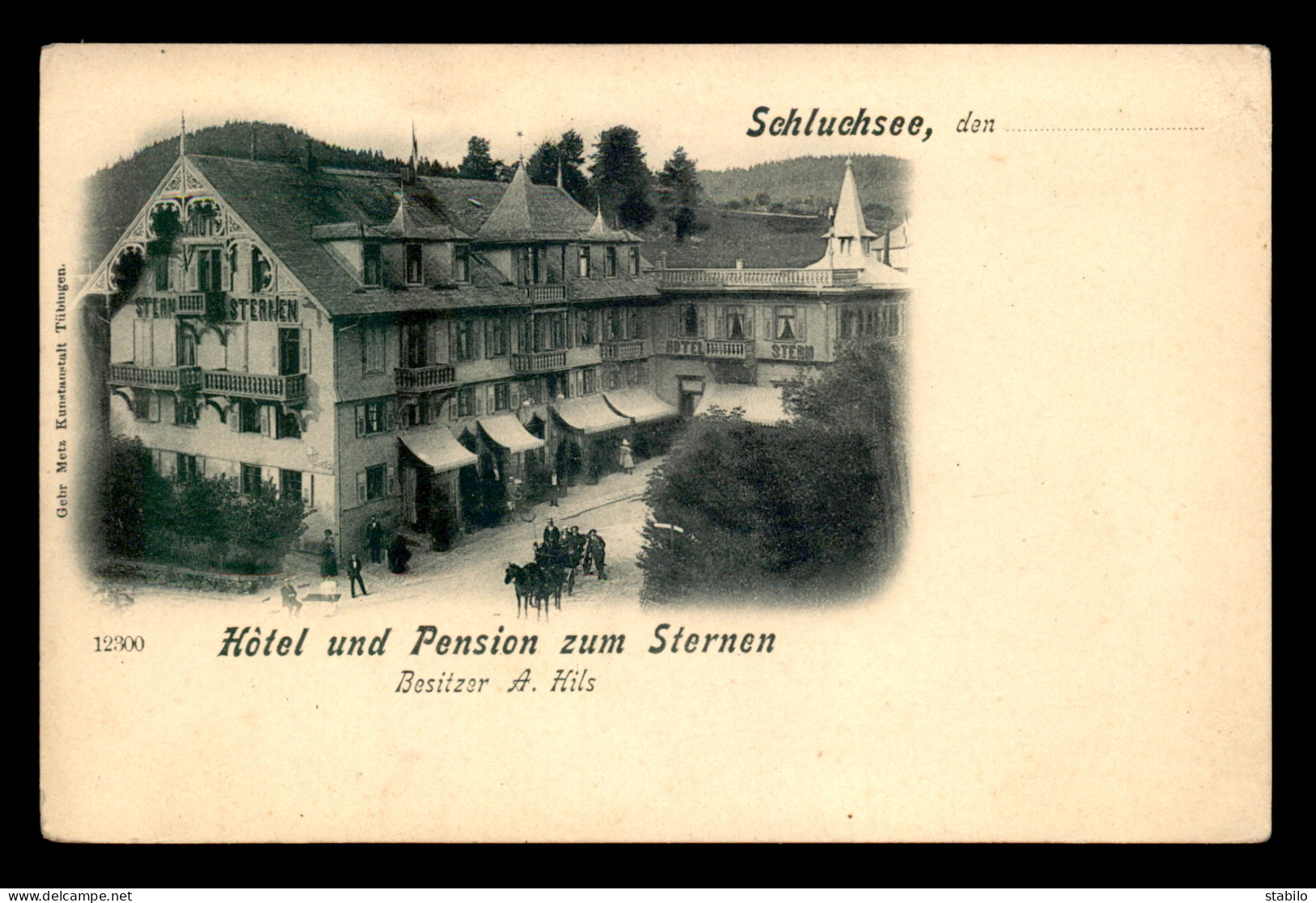ALLEMAGNE - SCHLUCHSEE - HOTEL UND PENSION ZUM STERNEN - Schluchsee