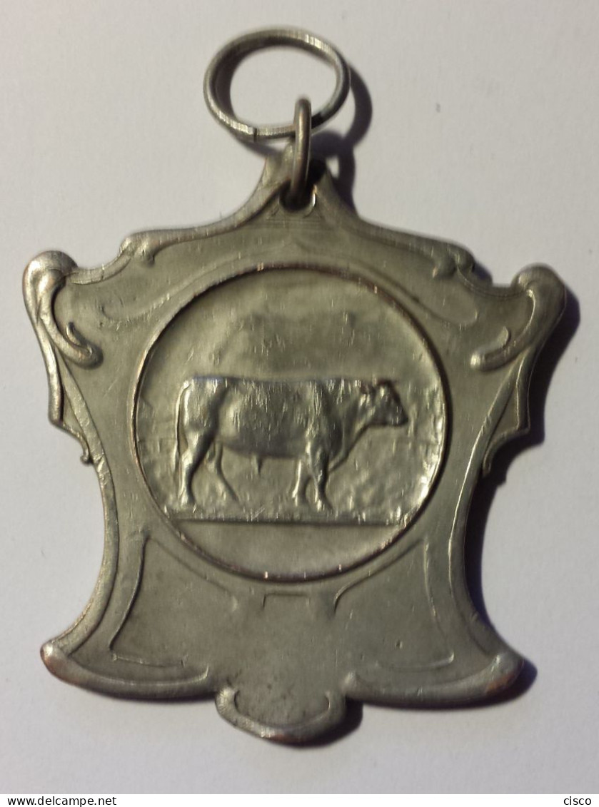 BELGIQUE Médaille Argent Concours Agricole Herd Club Dourois (Dour Hainaut) 1925 - Professionals / Firms