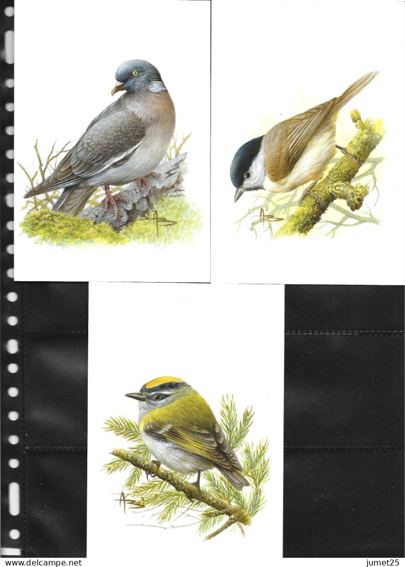 Buzin 3389/91 Mésange Nonnette - Pigeon Ramier - Roitelet Triple-bandeau - 1985-.. Birds (Buzin)