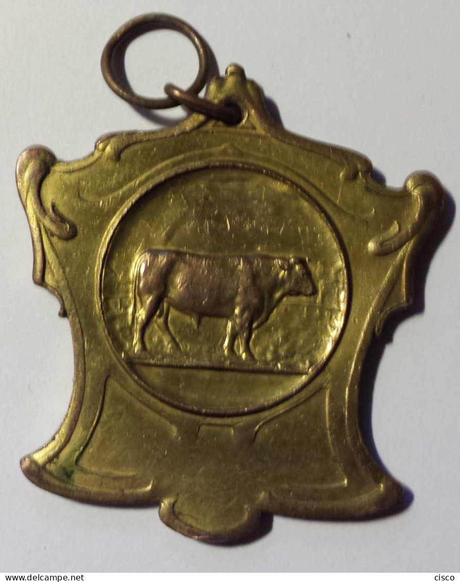 BELGIQUE Médaille Dorée Concours Agricole Herd Club Dourois (Dour Hainaut) 1925 - Firma's