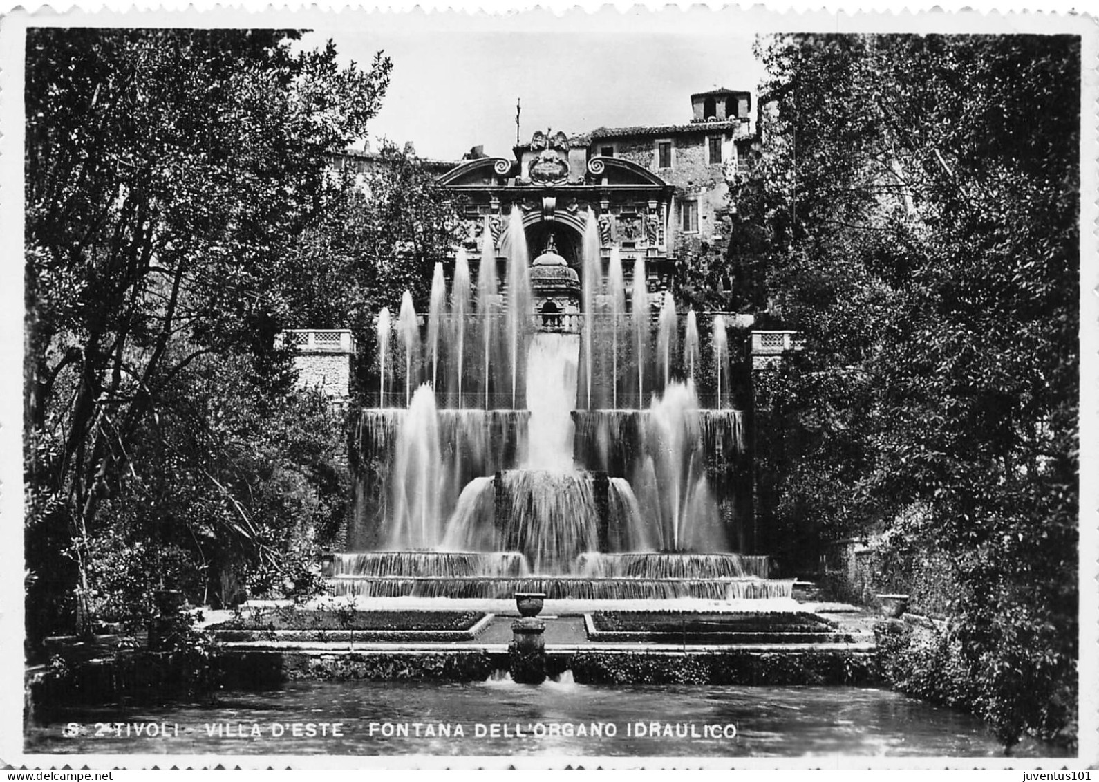 CPSM Tivoli Villa D'Este Fontana Dell'Organo      L2843 - Tivoli