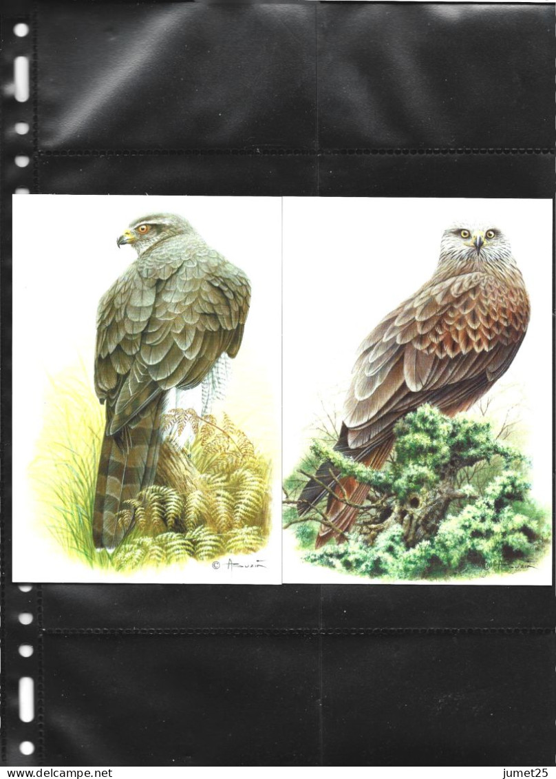 Buzin 4030/4 Epervier - Faucon Hobereau - Buse Variable - Autour Des Palombes - Milan Royal - 1985-.. Vogels (Buzin)