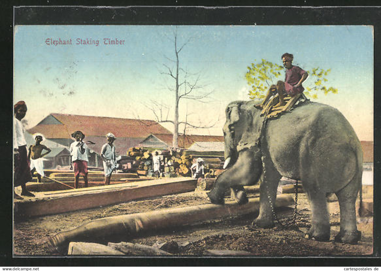 AK Elephant Staking Timber, Arbeitselefant  - Éléphants