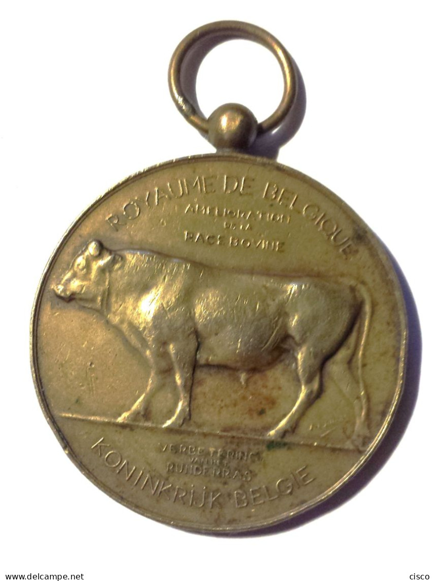 BELGIQUE Médaille Bronze Prov. Hainaut Amélioration De La Race Bovine - Professionnels / De Société