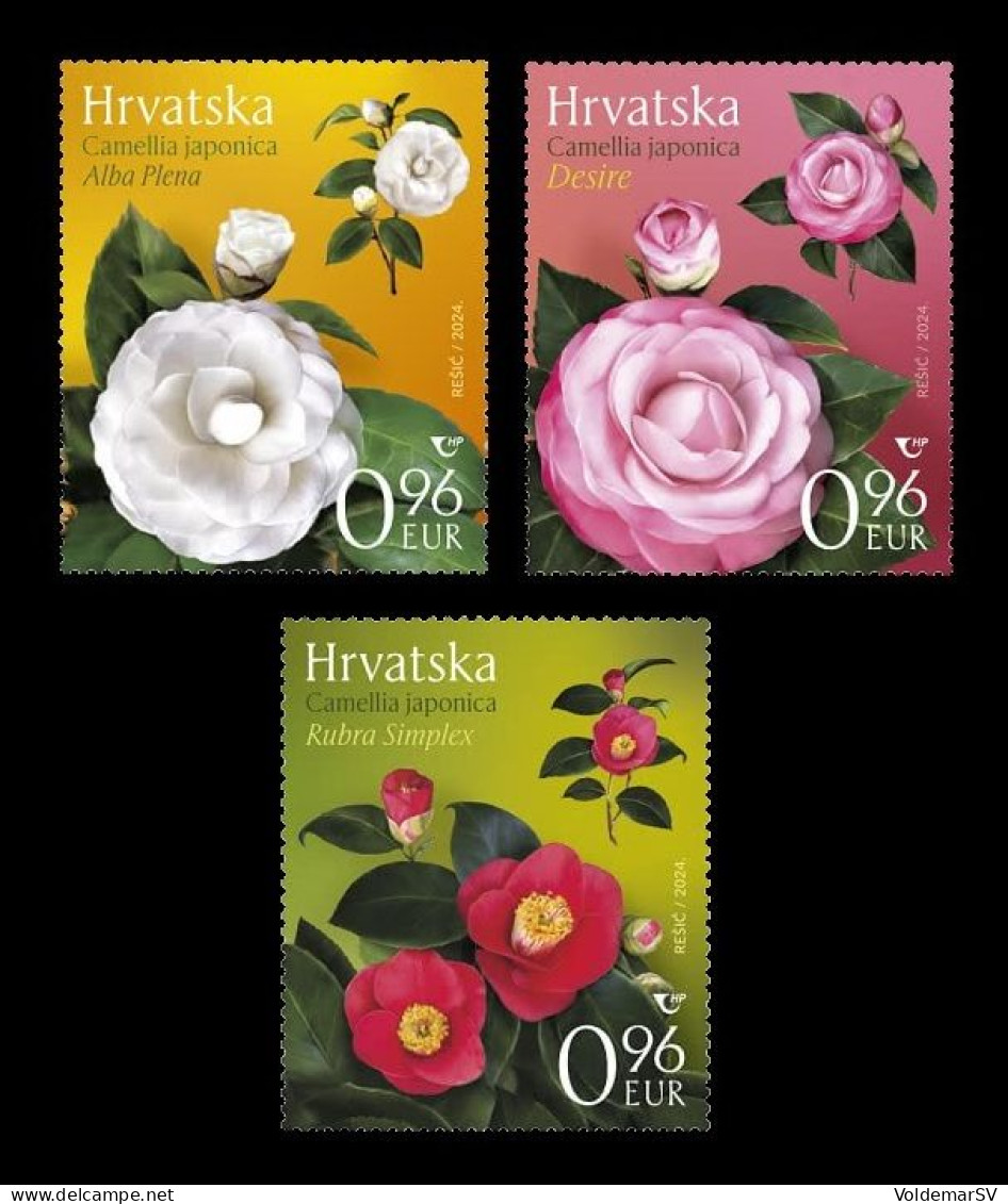 Croatia 2024 Mih. 1656/58 Flora. Flowers. Camellias MNH ** - Croacia