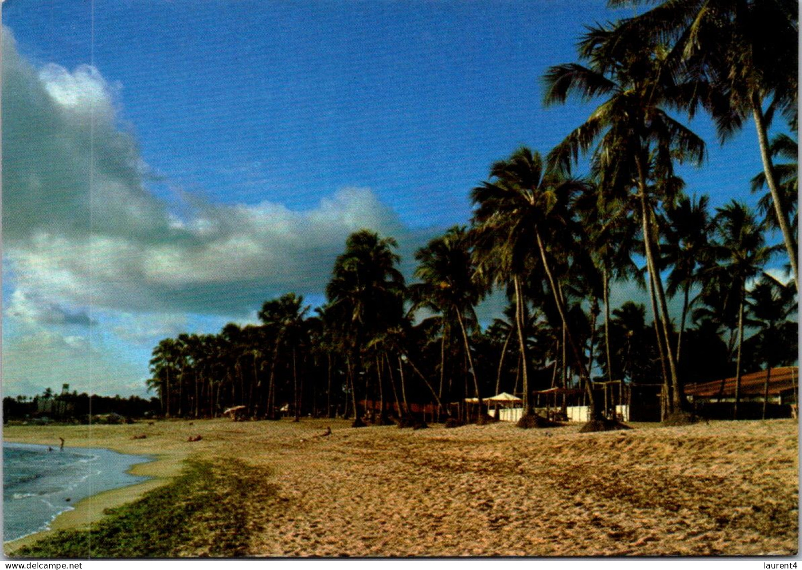 12-4-2024 (1 Z 41) Brazil (posted Within France 1985) Praia Beach & Palm Trees - Bäume