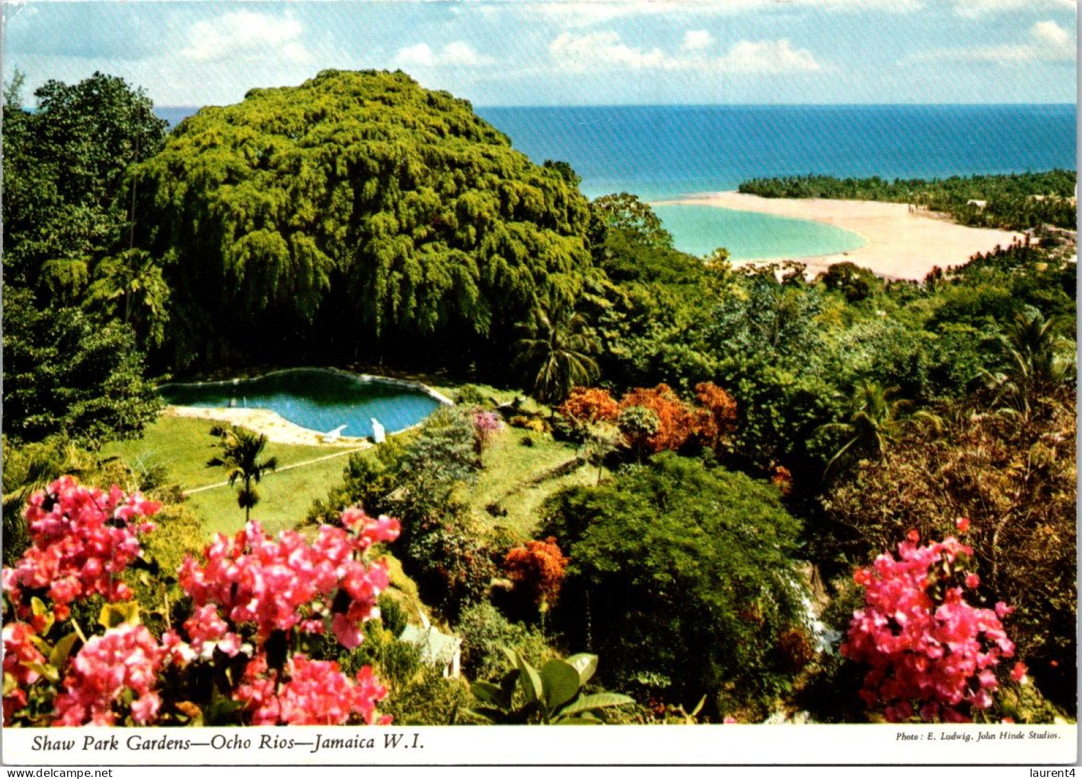 12-4-2024 (1 Z 41) Jamaica (posted) Shawk Park Gardens - Giamaica