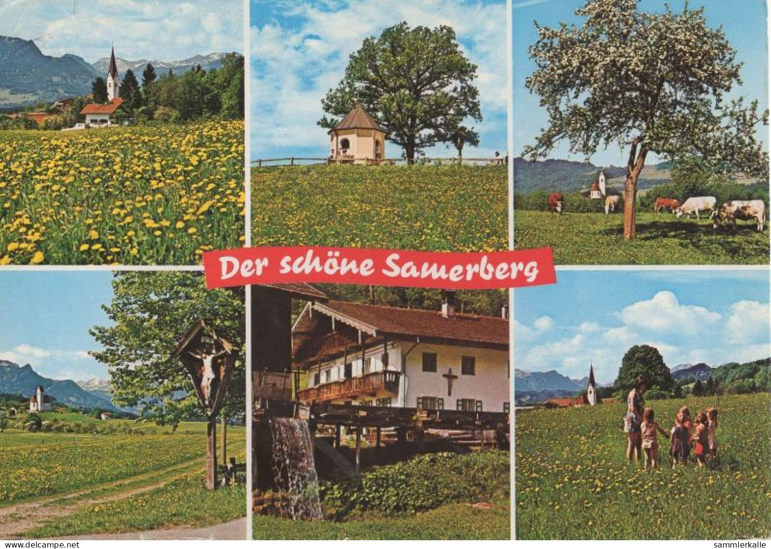 132281 - Samerberg - 6 Bilder - Rosenheim