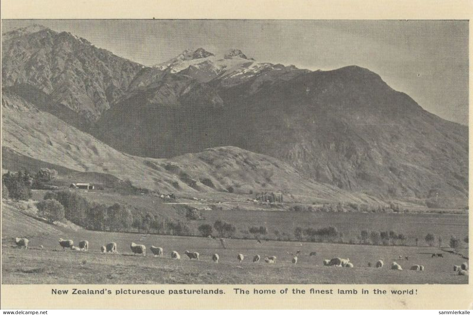 136383 - Neuseeland - Neuseeland - Picturesquq Pasturelands - Neuseeland