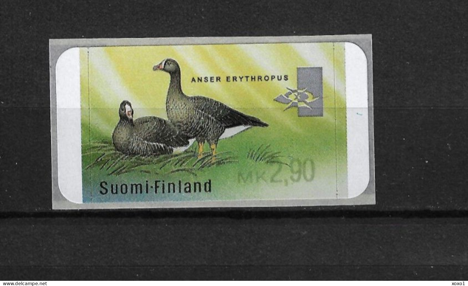 Finland 1999 MiNr. 35 Finnland ATM Birds Lesser White-fronted Goose (Anser Erythropus) 1v  MNH**  2,00 € - Altri & Non Classificati