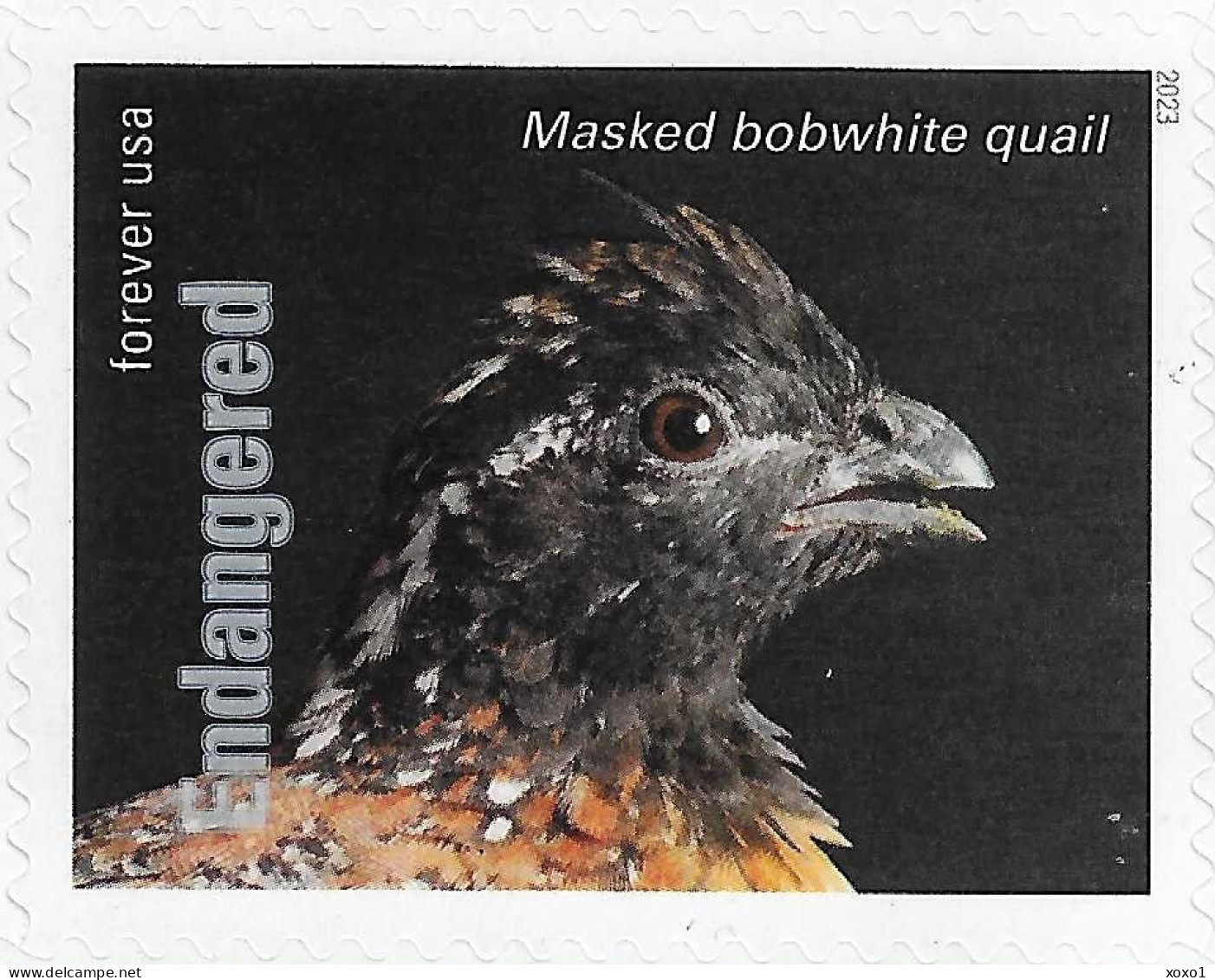 USA 2023 MiNr. 6058ba Endangered Species Birds The Masked Bobwhite (Colinus Virginianus Ridgwayi) 1v MNH **  1.40 € - Galline & Gallinaceo