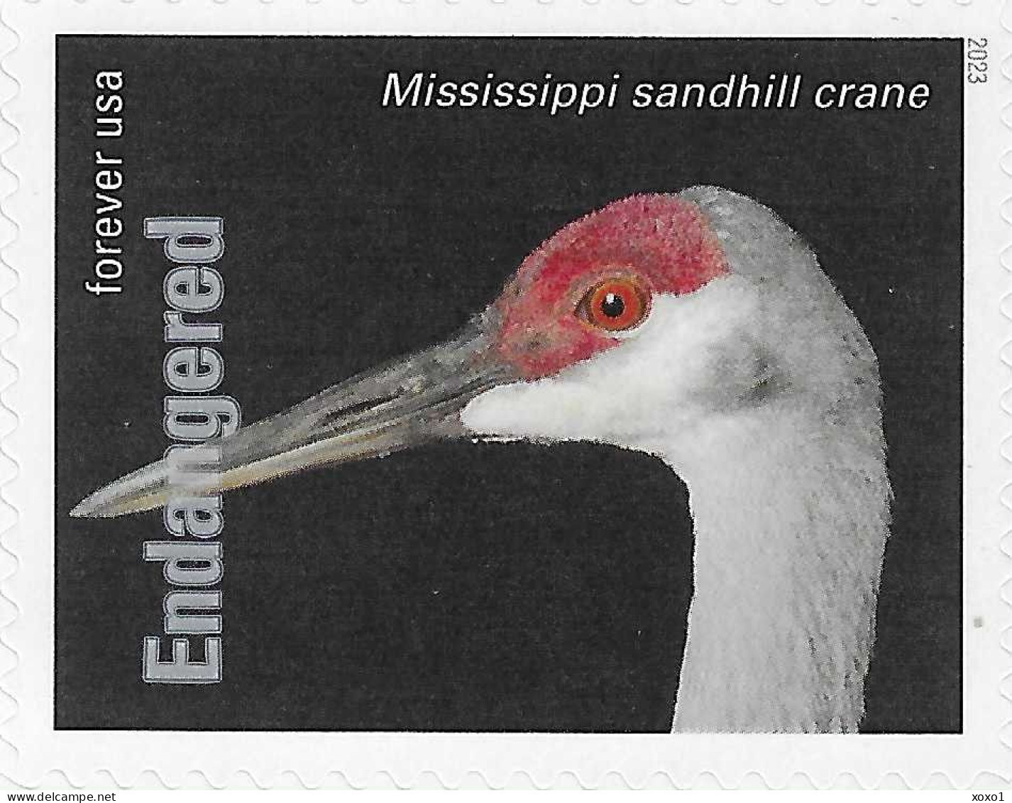 USA 2023 MiNr. 6071ba Endangered Species Birds Mississippi Sandhill Crane (Grus Canadensis Pulla) 1v MNH ** 1.40 € - Kraanvogels En Kraanvogelachtigen