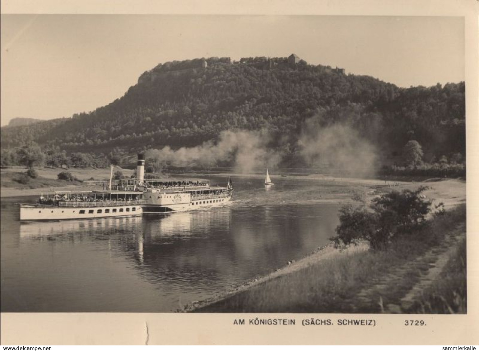 135843 - Königstein - Fahrgastschiff - Koenigstein (Saechs. Schw.)