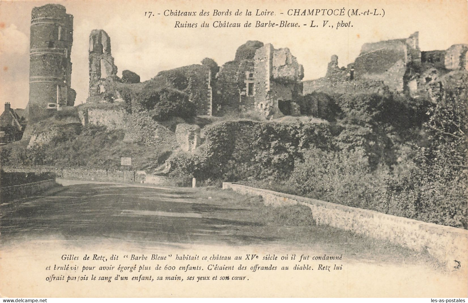 49 CHAMPTOCE LE CHÂTEAU - Champtoceaux