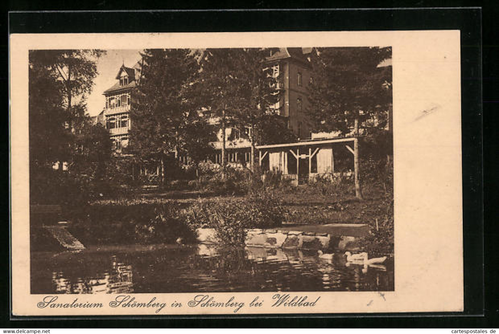 AK Schömberg B. Wildbad, Sanatorium Schönberg  - Schömberg