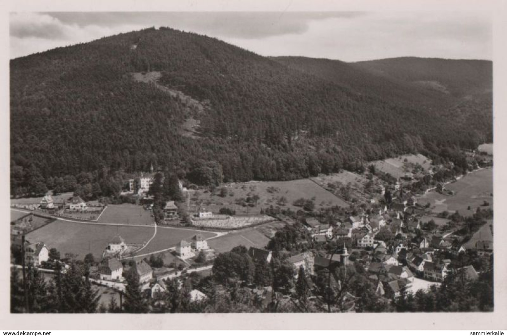 85450 - Bad Herrenalb - Blick Ins Gaistal - Ca. 1960 - Bad Herrenalb