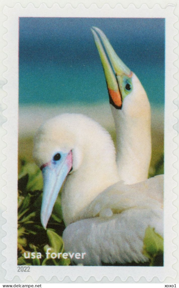 USA 2022 MiNr. 5950 National Marine Sanctuaries Birds The Red-footed Booby (Sula Sula) 1v MNH **  1.40 € - Albatro & Uccelli Marini