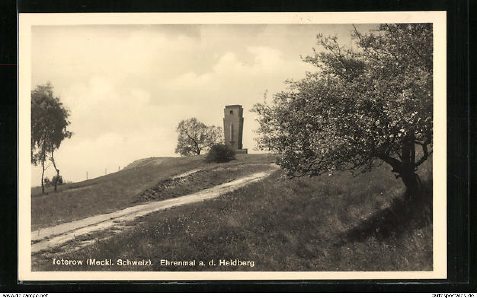 AK Teterow I. Meckl. Schweiz, Ehrenmal A. D. Heidberg  - Teterow