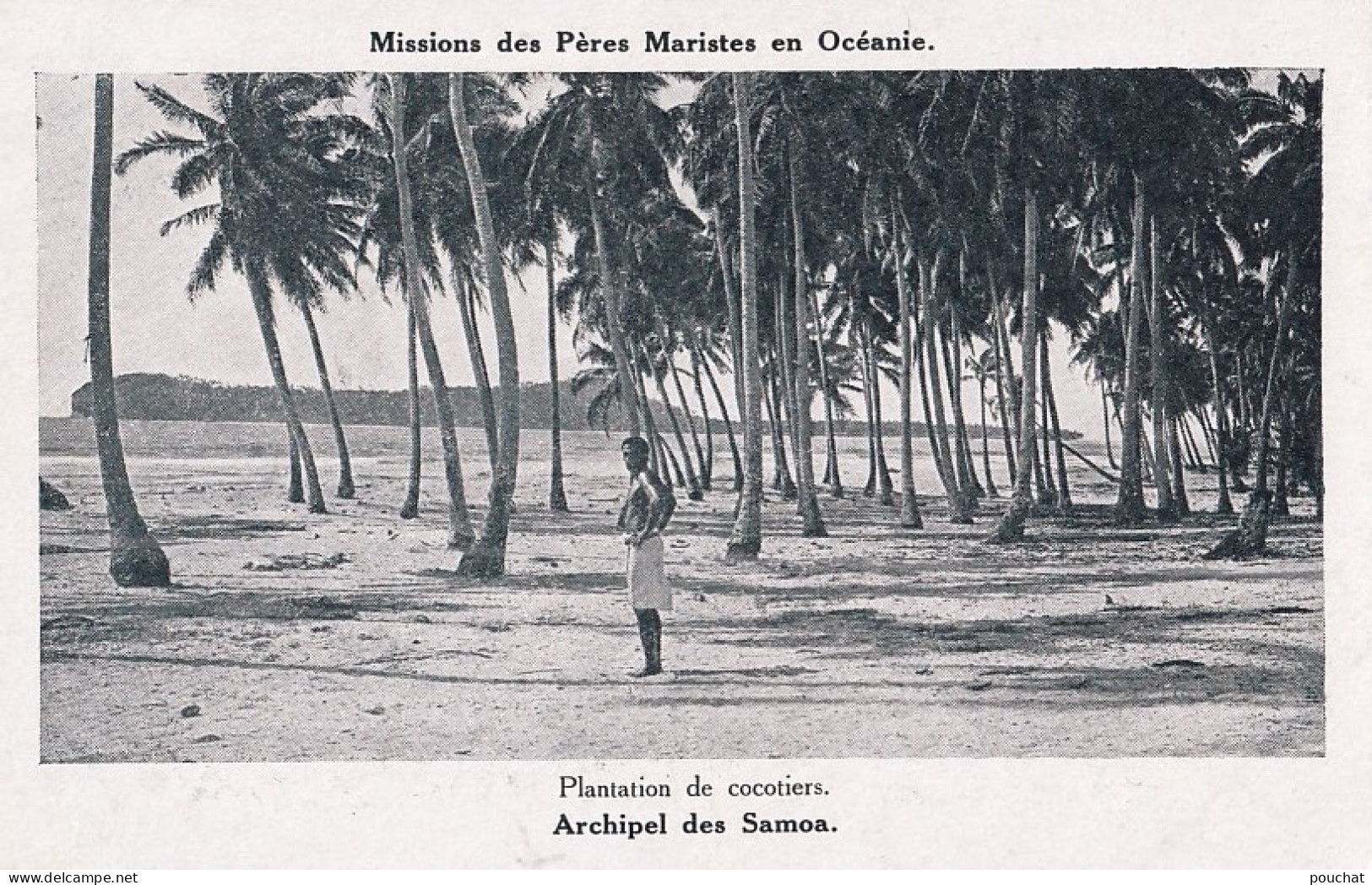 C4- MISSIONS DES PERES  MARISTES EN OCEANIE - ARCHIPEL DES SAMOA - PLANTATION DE COCOTIERS  - ( 2 SCANS ) - Samoa