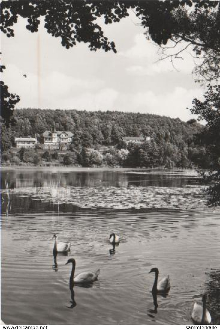 3013 - Buckow - Am Griepensee - 1982 - Buckow