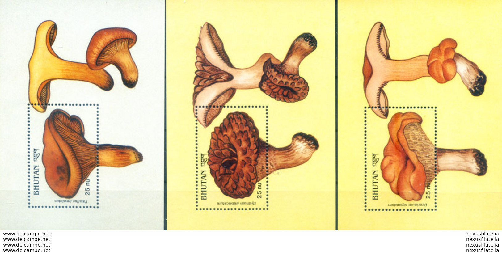 Flora. Funghi 1989/1991. - Bhoutan