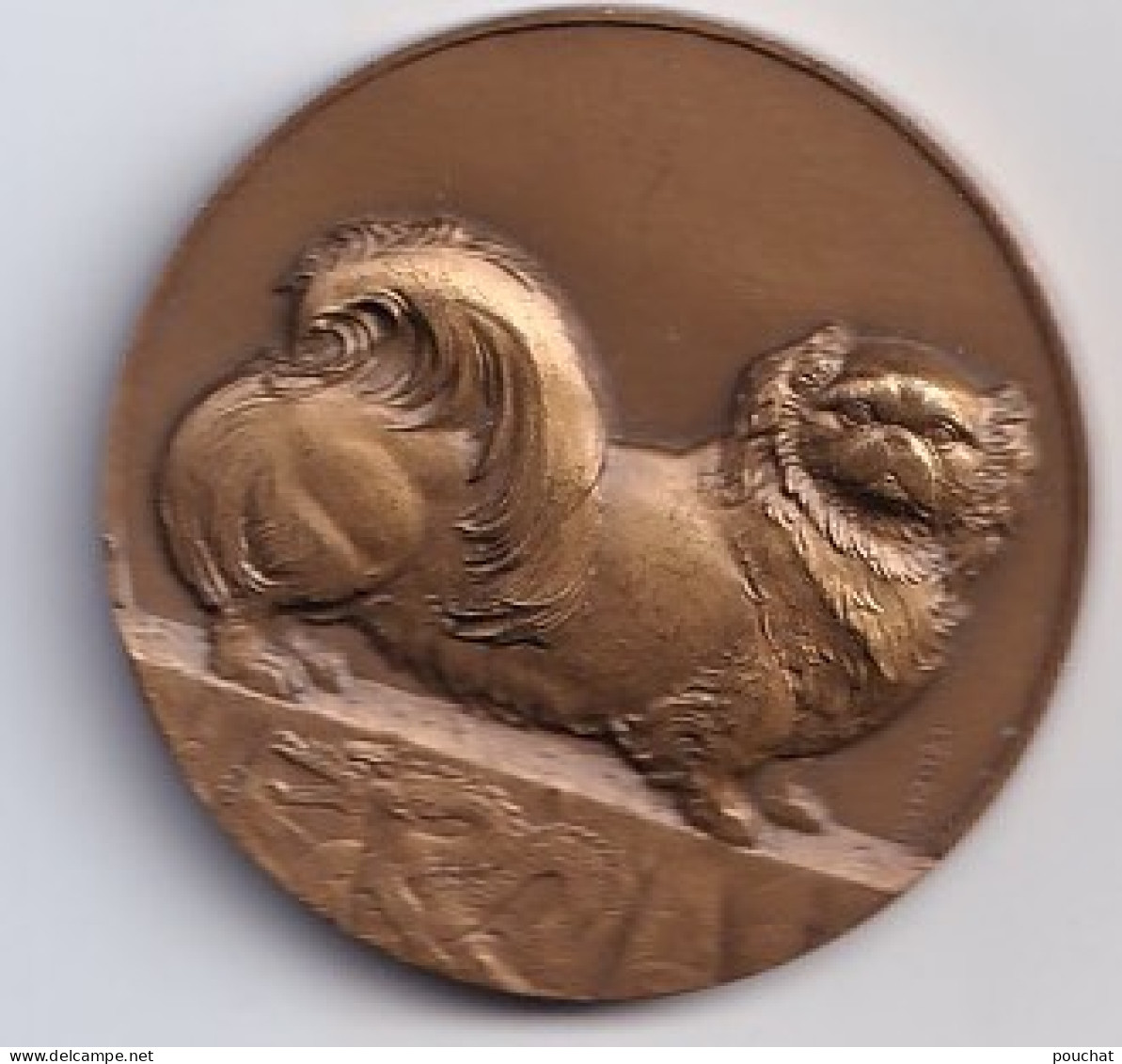 MEDAILLE  BRONZE - CHINE - CHIEN PEKINOIS + DRAGON - SIGNEE  THENOT - ANNEE  1950 ENVIRONS - CHINA - 2 SCANS - Otros & Sin Clasificación